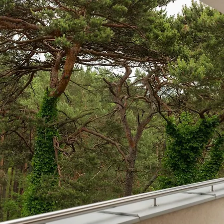 דירה In Ratibora 66 *